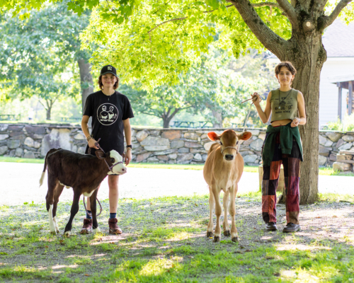 Farm 1