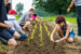 Farm 12