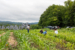 Farm 4jpg