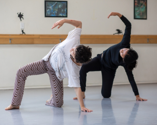 52265542485_95705d04da_o (1)