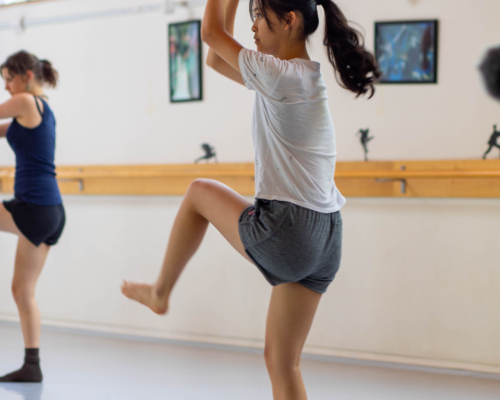 53336413505_1411b89795_o